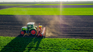 Agriculture and Food